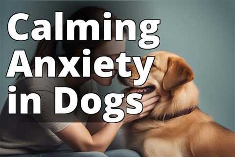 Uncovering Anxiety in Dogs: Key Symptoms and Solutions