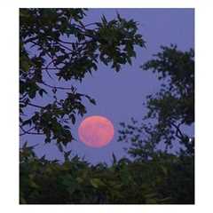 Thursday, May 23, 2024 –  Global Full Moon Meditation, 9:00 p.m. – 10:00 p.m. CT