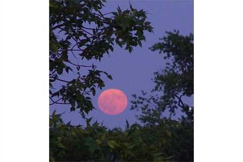 Thursday, May 23, 2024 –  Global Full Moon Meditation, 9:00 p.m. – 10:00 p.m. CT