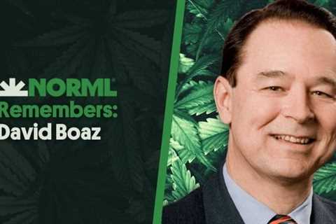 NORML Remembers David Boaz