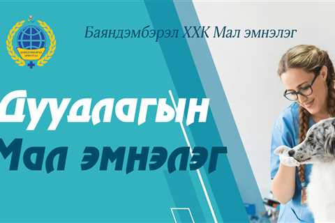 Дуудлагын Мал Эмнэлэг - MMARKET.MN