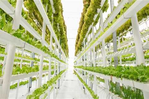 Can you make money hydroponic farming?