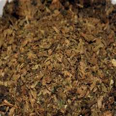 Do dry herb vaporizers produce tar?