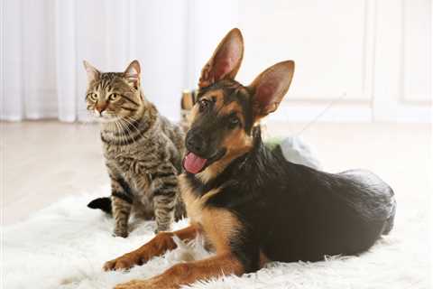 Global Pet Supplements Market to Reach $2.75 Billion by 2027