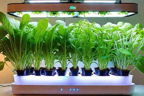 What Are the Best Indoor Hydroponic Systems for Beginners?