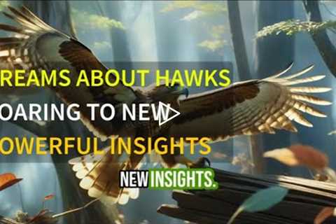 Dream About a Hawk: It's Powerful Meaning (Don't Ignore It)