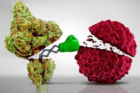 Can Minor Cannabinoids Found in the Cannabis Plant Help Fight Cancer?