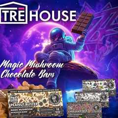 Happy Sunday JK Fam! Have you seen the new TRE house Magic 🍄 Chocolate bars…