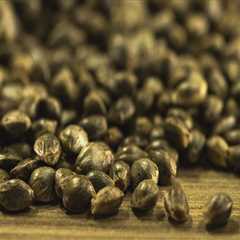 All About Cannabis Seeds: How to Determine if a Seed is Viable or Not