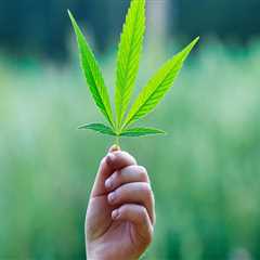 The Effectiveness of Cannabis Therapy: What Research Has Revealed