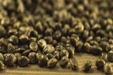 All About Cannabis Seeds: How to Determine if a Seed is Viable or Not