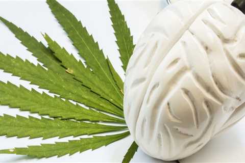 The Future of Medical Marijuana: Exploring the Potential Side Effects