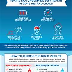 Zeolite - Everything You Need to Know