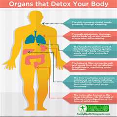 Identifying the Body's Most Toxin-Accumulating Areas