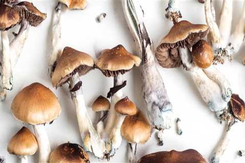 Everything You Need To Know About Psilocybin And Marijuana In Ferndale