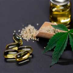 From Hemp Habits To Healthy Living: Virtual Rehab Programs In Maine That Work