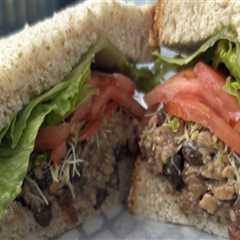 The Ultimate Guide to Vegan-Friendly Activities in Alachua County, Florida
