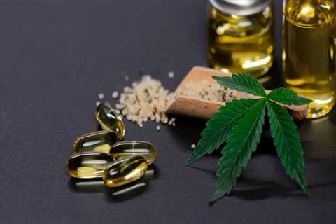 From Hemp Habits To Healthy Living: Virtual Rehab Programs In Maine That Work