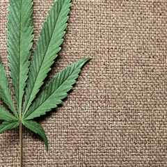 The Impact of Medical Marijuana on Cannabis Advocacy in Pasco, Washington