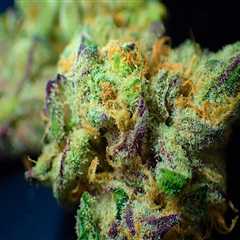 Navigating Marijuana Dispensaries and Addiction Treatment in Denver