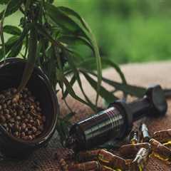 From Raw Cones Curiosity to Real Healing: Addiction Treatment in Dallas, TX