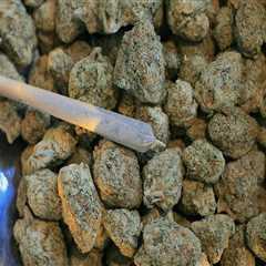 Exploring THC for Pain and the Benefits of a Substance Use Detox Program in Dallas, TX