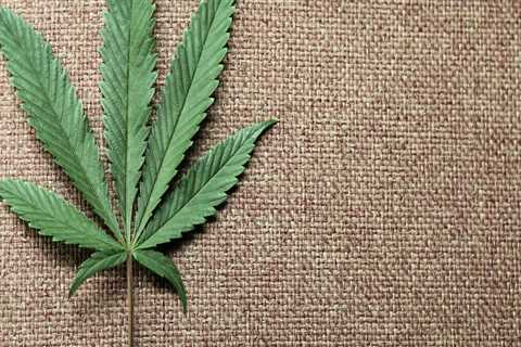 The Impact of Medical Marijuana on Cannabis Advocacy in Pasco, Washington