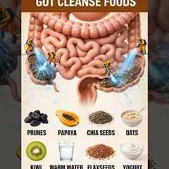 The Best Foods For Gut Health
